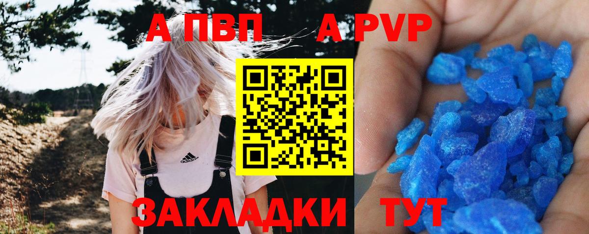 Alfa_PVP СК КРИС Великий Новгород