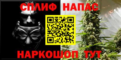 прущие грибы Нарткала