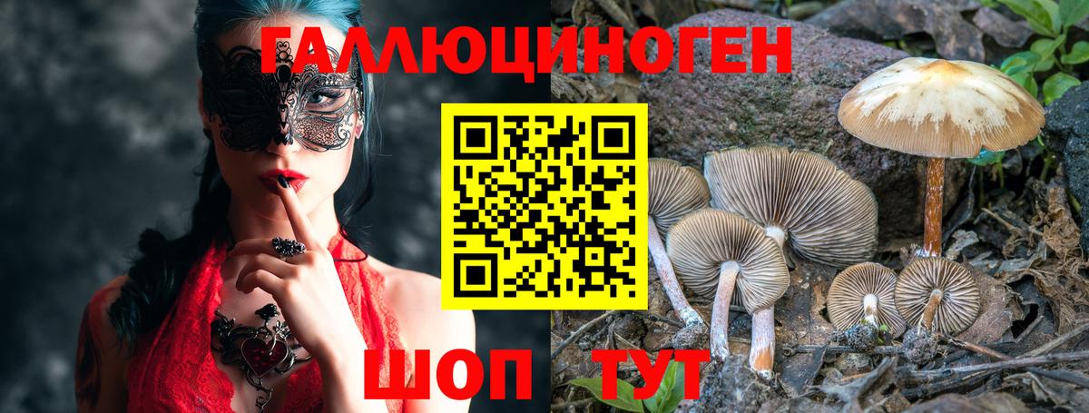 Галлюциногенные грибы Psilocybe  Вход с VPN  Великий Новгород 