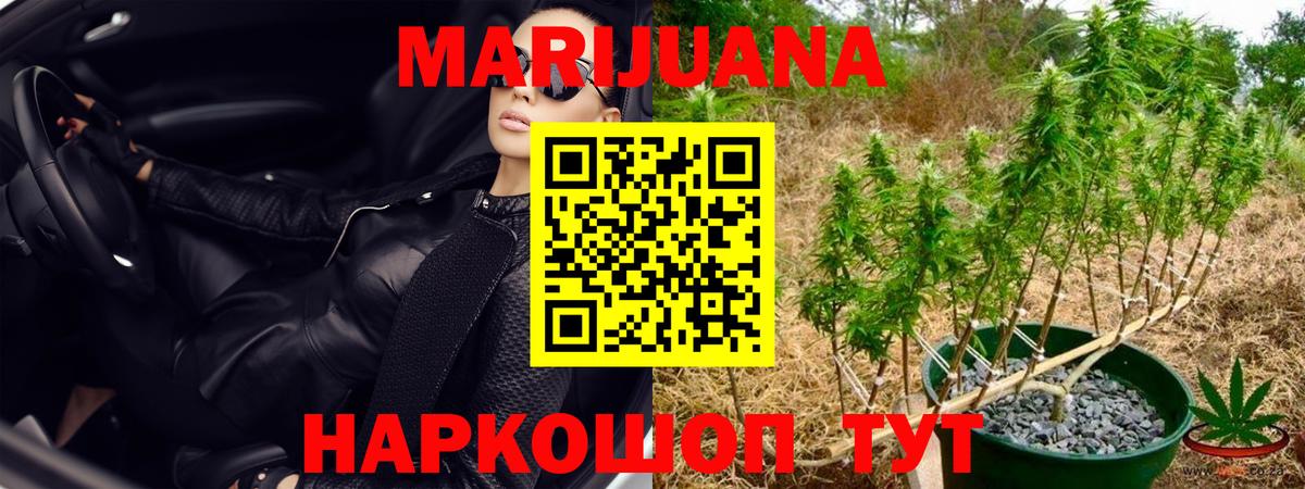 Великий Новгород  Бошки марихуана VHQ  Бошки марихуана White Widow  Вход с VPN 